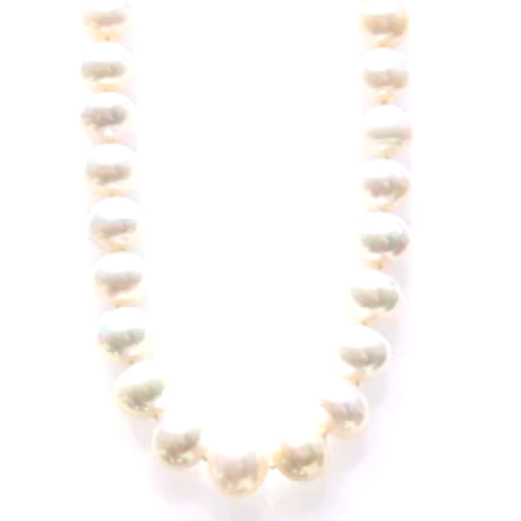 14K White Gold 9.0*12.0mm South Sea Pearl Strand
