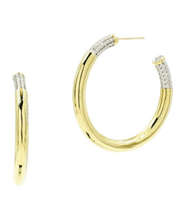 Freida Rothman Gold Plated Sterling Silver Hoop Earring